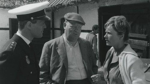 The Boy Who Loved Horses filmas žiurėti online