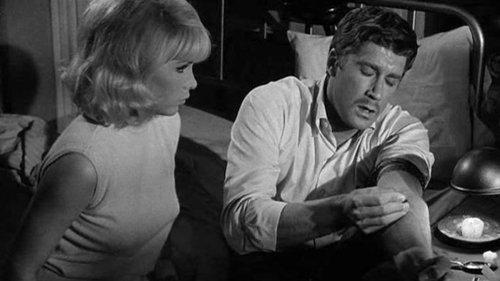 Synanon filmas žiurėti online