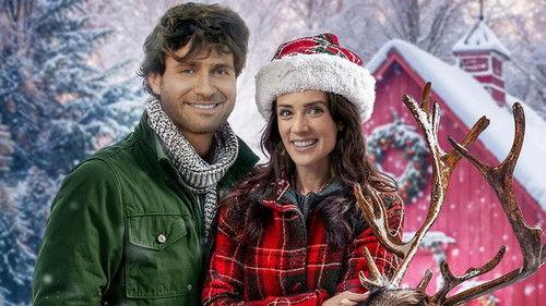 Santa's Cousin filmas žiurėti online