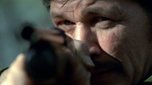 Violent City filmas žiurėti online