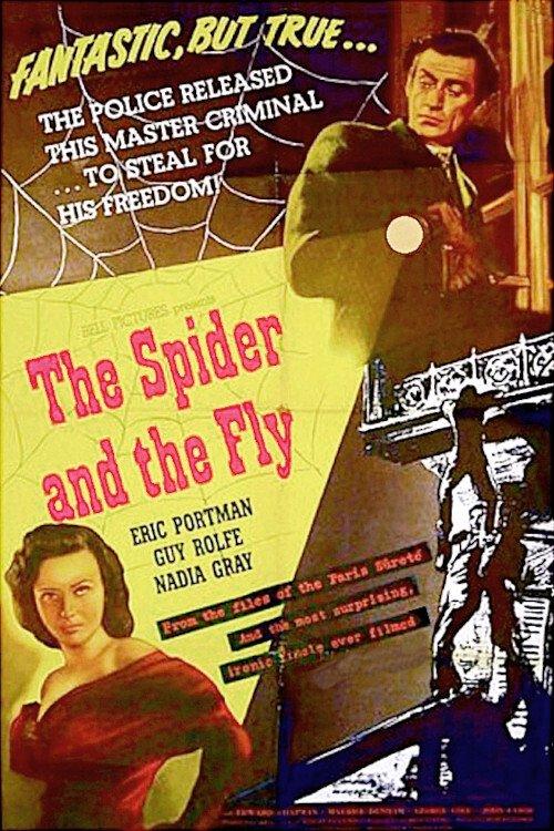 The Spider and the Fly filmas online