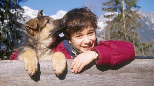 Rekso jaunystė: Mažasis komisaras filmas žiurėti online