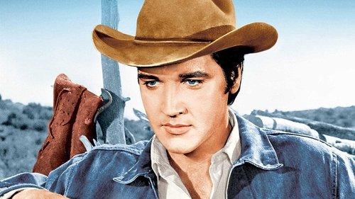 Stay Away, Joe filmas žiurėti online