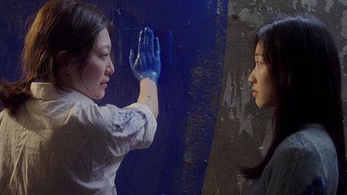 Desert of No Return filmas žiurėti online