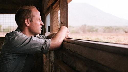 Prince William: A Planet For Us All filmas žiurėti online