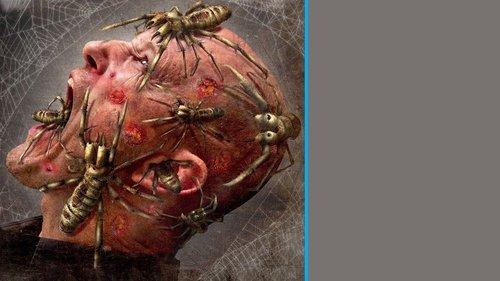 Camel Spiders filmas žiurėti online