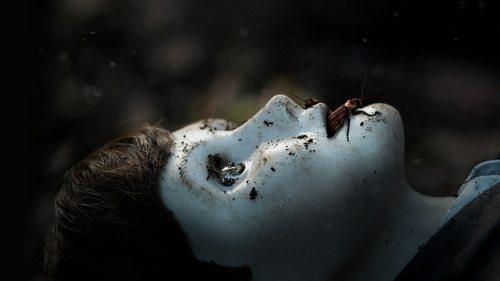 Šėtono vaikas 2 filmas žiurėti online