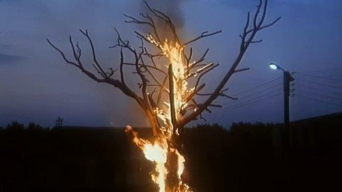 Bespredel filmas žiurėti online