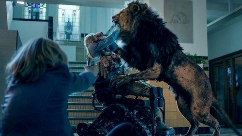 Prooi filmas žiurėti online