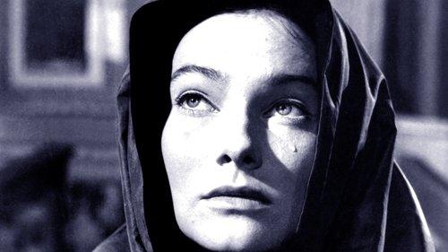 Fatal Desire filmas žiurėti online