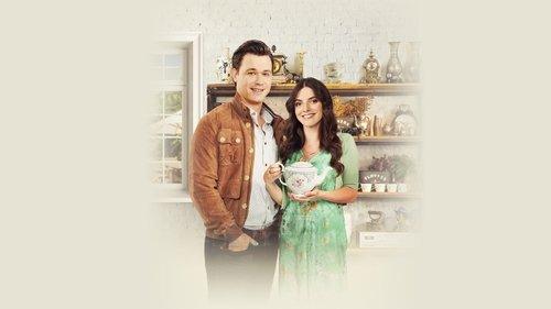 A Priceless Love filmas žiurėti online