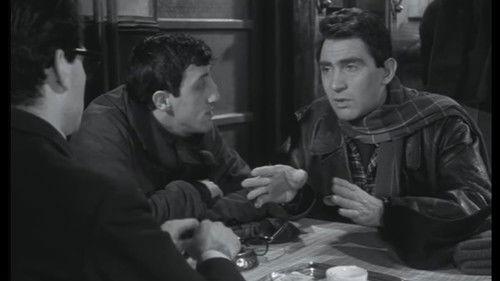 Walter e i Suoi Cugini filmas žiurėti online