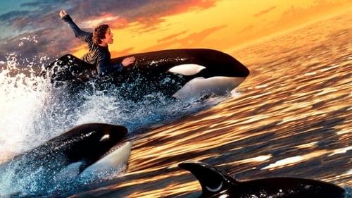 Free Willy 2: The Adventure Home filmas žiurėti online