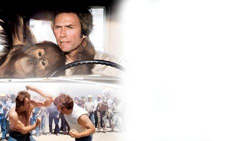 Every Which Way but Loose filmas žiurėti online