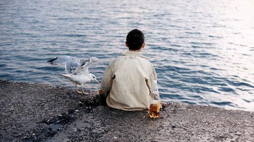 Roads to Koktebel filmas žiurėti online