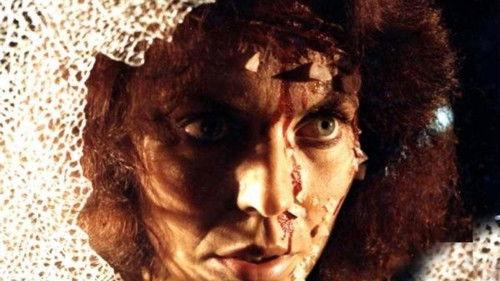 Don't Look in the Attic filmas žiurėti online