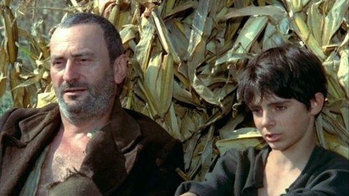 Then I Sentenced Them All to Death filmas žiurėti online