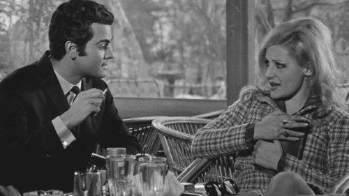 The Wild Pussycat filmas žiurėti online