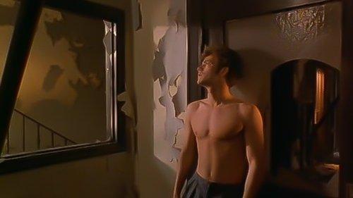 American Strays filmas žiurėti online