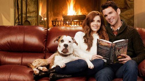 Winter Love Story filmas žiurėti online