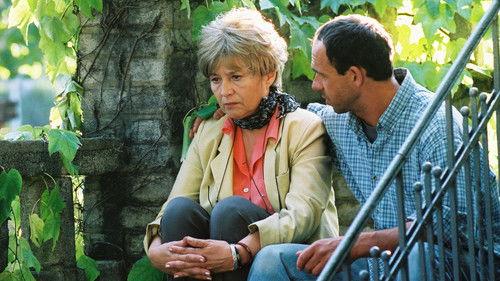 Up and Down filmas žiurėti online