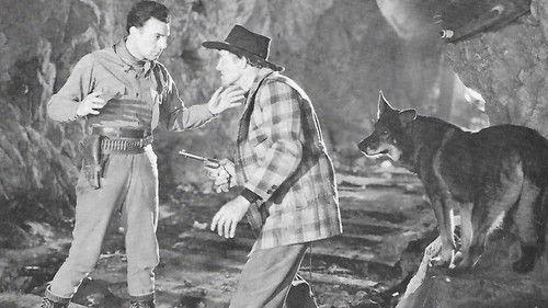 The Lightning Warrior filmas žiurėti online