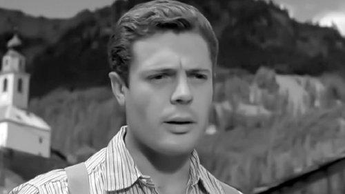 Black Feathers filmas žiurėti online