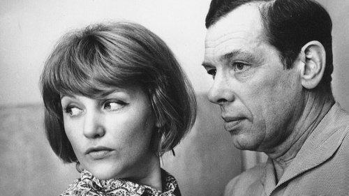 The Secret Agent's Blunder filmas žiurėti online