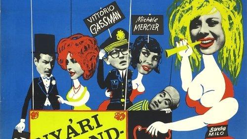 Summer Frenzy filmas žiurėti online