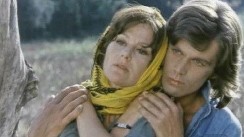 House on the Rocks filmas žiurėti online