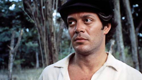 Life of Sin filmas žiurėti online