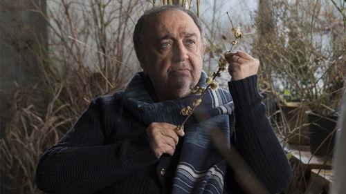 Tale of the Sea filmas žiurėti online