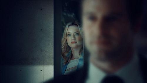 Bodyguard Seduction filmas žiurėti online