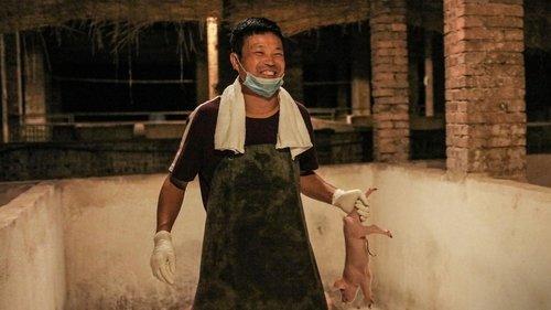 The River of Fury filmas žiurėti online