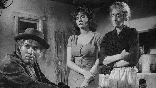 The Female: Seventy Times Seven filmas žiurėti online