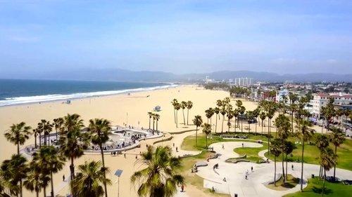 Beach Babe Bingo filmas žiurėti online