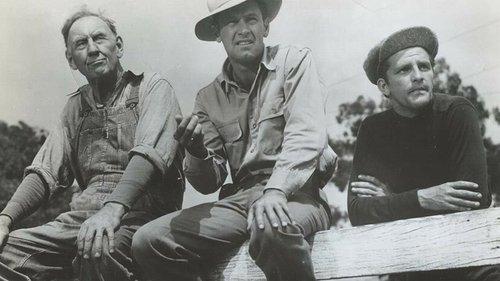 Boots Malone filmas žiurėti online