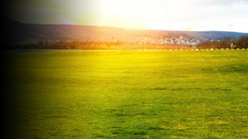 Above the Sky filmas žiurėti online