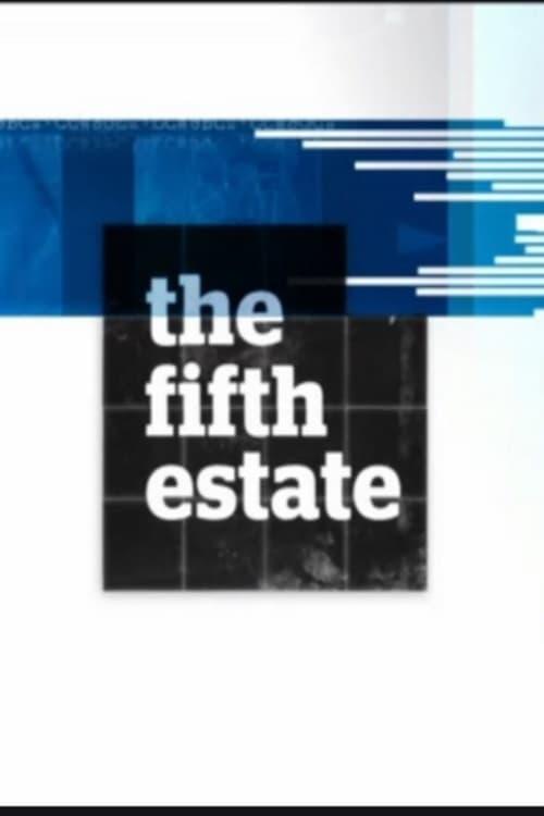 The Fifth Estate filmas online