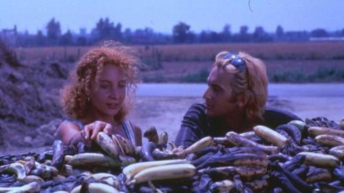 Black Holes filmas žiurėti online