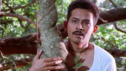 The Sacred Grove filmas žiurėti online