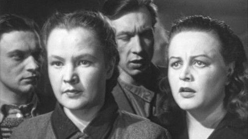 It Happened in the Donbass filmas žiurėti online