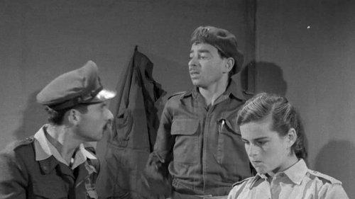 Moishe Air-Condition filmas žiurėti online