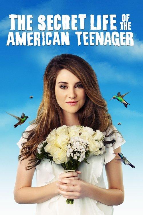 The Secret Life of the American Teenager filmas online