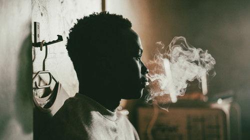 Animol filmas žiurėti online