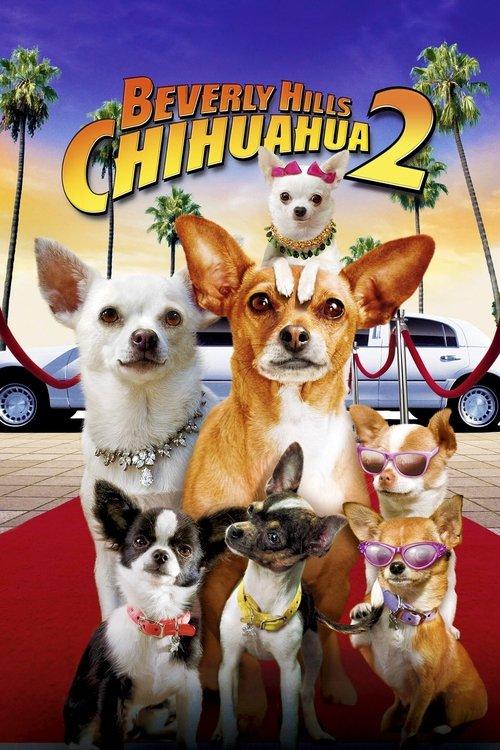Beverly Hills Chihuahua 2 filmas online