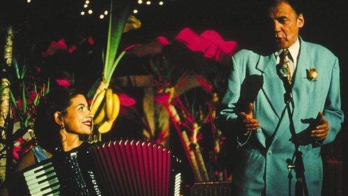 Pane e tulipani filmas žiurėti online