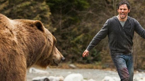 Into the Grizzly Maze filmas žiurėti online