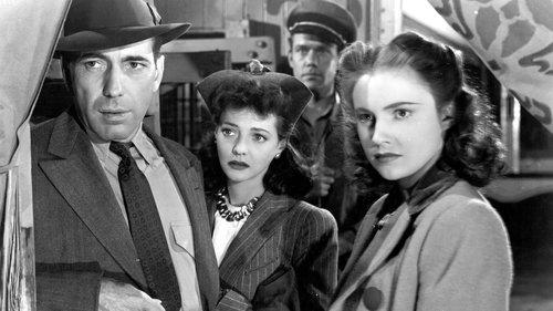 The Wagons Roll at Night filmas žiurėti online