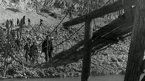 The Last Bridge filmas žiurėti online